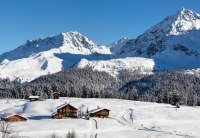 Arosa in the midfield - Real Estate Study Alps Resorts Switzerland